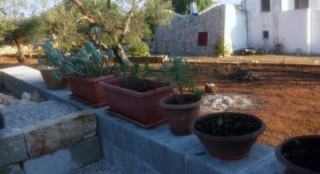Villa "Posto Cantoro" Marina Di Pescoluse Quarto foto